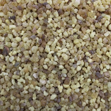 Resina di Incenso - 250g
