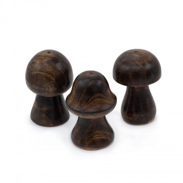 Set di 3 Mini Funghi -...