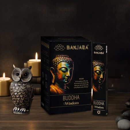 Banjara Buddha - Saggezza